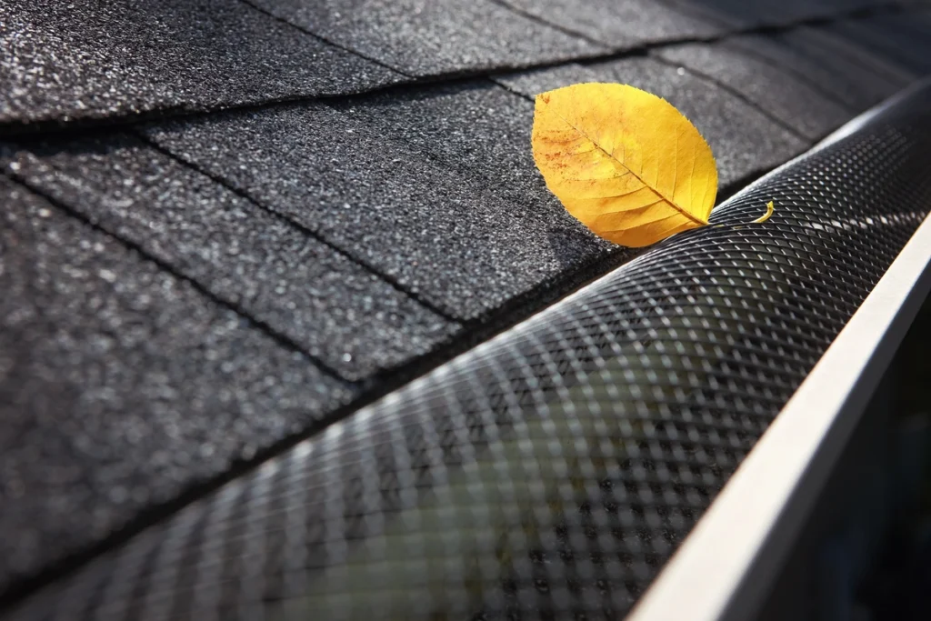 leaf in gutter guard