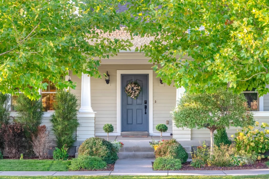front door and trees