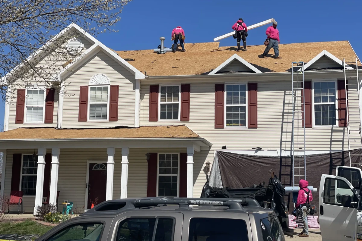 Roofing crew in bright pink shirts working on a full tear-off and roof decking repair on a two-story home with light siding and dark brown shutters.